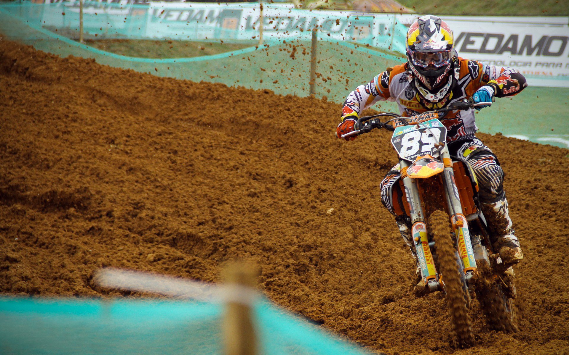 “美洲狮队进军橄榄球冠军赛决赛,世界橄榄球格局或将改变”